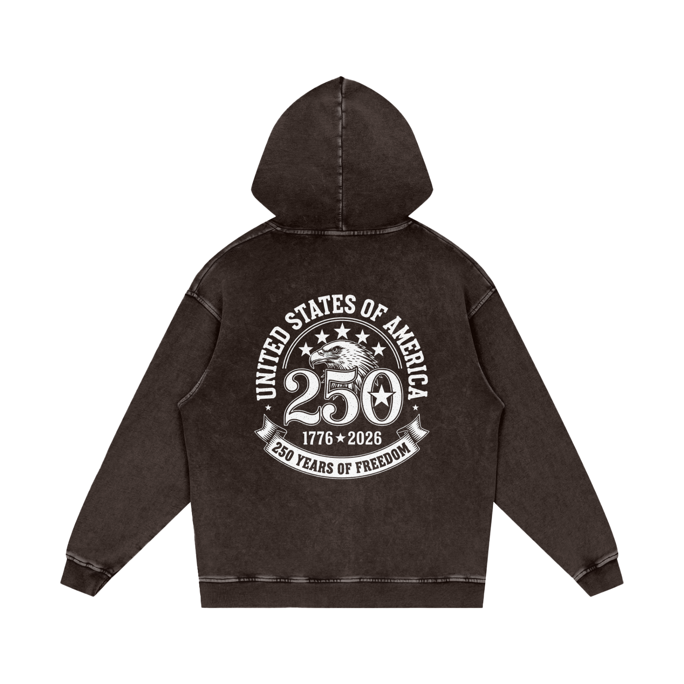 United State's 250th Anniversary Hoodie